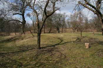 Plocha tvrziště ( © Petr Nožička 03/2012)