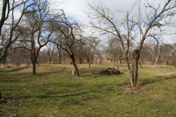 Plocha tvrziště ( © Petr Nožička 03/2012)