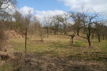 Plocha tvrziště ( © Petr Nožička 03/2012)