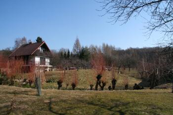 Pohled na tvrziště ( © Petr Nožička 03/2012)