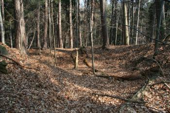 Příkop ( © Petr Nožička 03/2012)