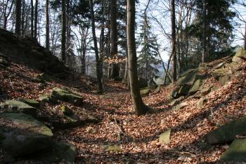 Příkop  ( © Petr Nožička 03/2012)