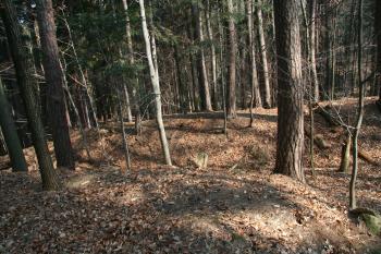 Pohled z hradiště na příkop ( © Petr Nožička 03/2012)