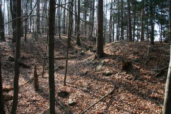 Příkop ( © Petr Nožička 03/2012)