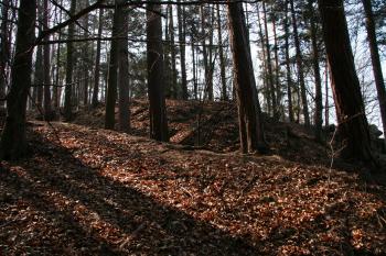 Příkop a tělo hradu ( © Petr Nožička 03/2012)