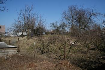 Plocha tvrziště ( © Petr Nožička 03/2012)