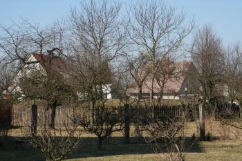 Plocha tvrziště ( © Petr Nožička 03/2012)