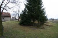 Bořice