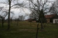 Bořice