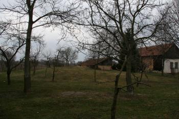 Pohled na pahorek tvrziště ( © Petr Nožička 03/2012)