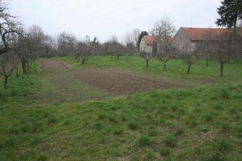  ( © Martin  Kabeláč 04/2008)