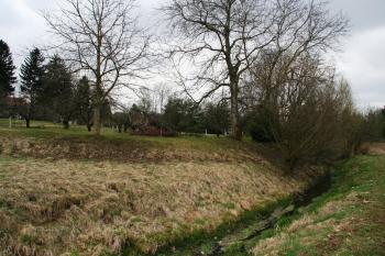 Tvrziště nad potokem ( © Petr Nožička 03/2012)