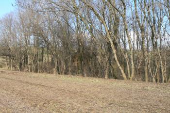 Pohled od jihu (© Prudký Martin, 03/2012)