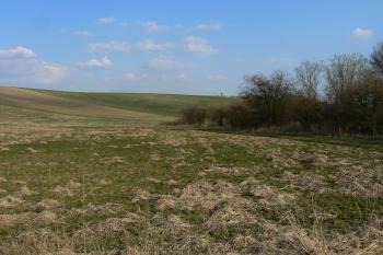 (© Prudký Martin, 03/2012)