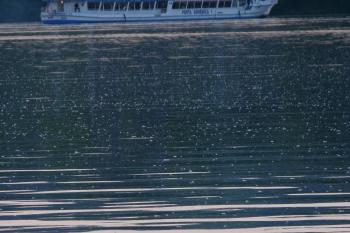 Žernosecké jezero (© František Kinař, 04/2012)