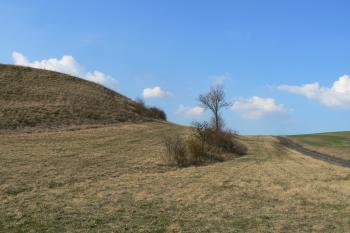  (© Prudký Martin, 03/2012)