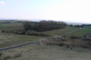 Pohled z kopce na bývalou cihelnu (© Prudký Martin, 03/2012)