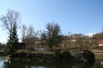 Pohled na tvrziště ( © Petr Nožička 04/2012)