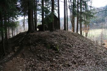 Těleso tvrziště ( © Petr Nožička 04/2012)