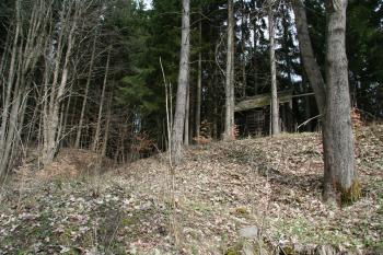 Pohled na tvrziště zezdola ( © Petr Nožička 04/2012)