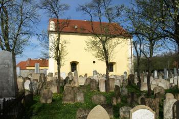 synagoga z plochy židovského hřbitova ( © Milan Caha 04/2012)