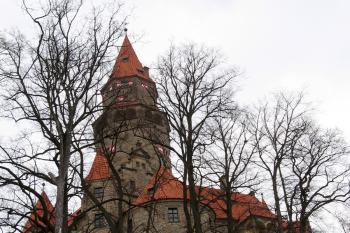 Bouzov (© Robert Šebl, 03/2008)