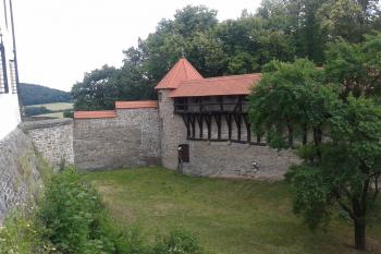  ( © Ivo Rozehnal 07/2016)