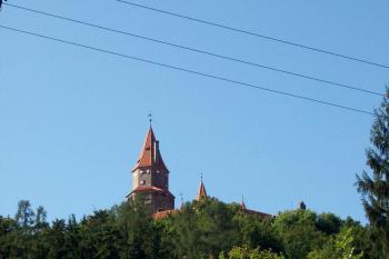  (© Nikola Mildová, 08/2008)