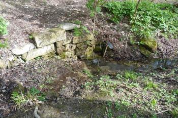 studánka pod kaplí (© František Kinař, 04/2012)
