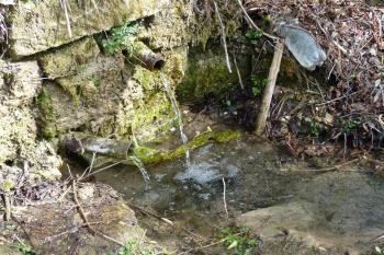 studánka pod kaplí (© František Kinař, 04/2012)