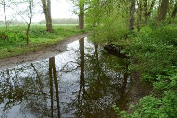přírodní rezervace Myslivna (© František Kinař, 04/2012)
