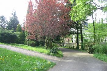 zámecký parčík (© D Dohňanský, 05/2015)
