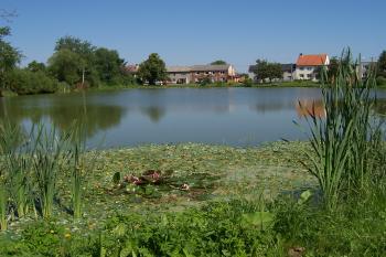 Pěnčín - Nebeský rybník (© Ivo Rozehnal, 06/2012)