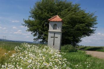Boží muka u Duban  (© Ivo Rozehnal, 06/2012)