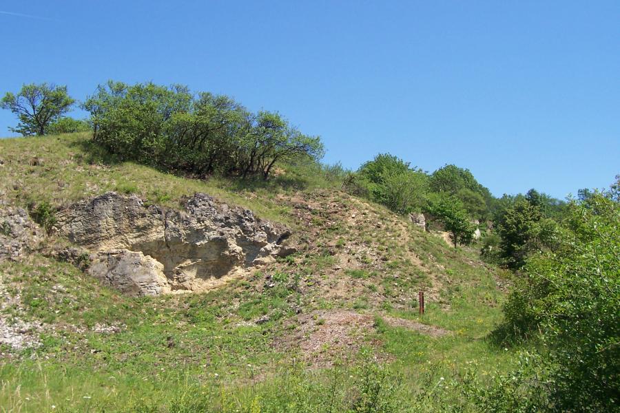 národní přírodní památka Růžičkův lom
