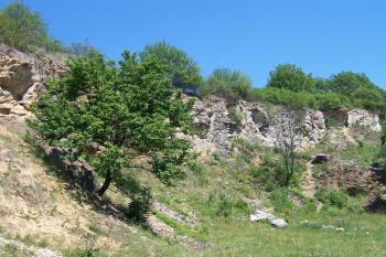 NPP Růžičkův lom (© Ivo Rozehnal, 06/2012)
