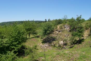 NPP Růžičkův lom (© Ivo Rozehnal, 06/2012)