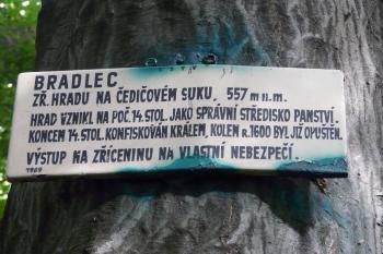  (©11/2010 Alena Volná)