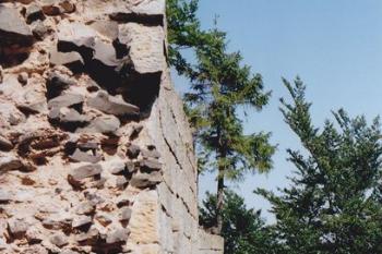 Kvádříkový plášť jižní stěny (© Lukáš Pechánek, 07/2005)