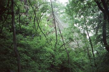 Zřícenina hradu Bradlec (© Vlastislav Mareček, 07/1989)