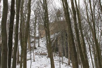 Zřícenina hradu Bradlec (© Vlastislav Mareček, 12/2013)