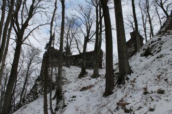 Zřícenina hradu Bradlec (© Vlastislav Mareček, 12/2013)