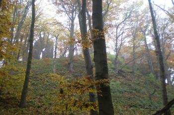 Podzimní Bradlec (© Marek Reimann, 10/2012)