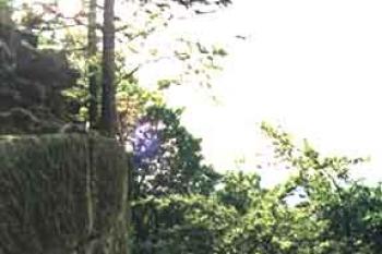 Okrouhlá část plášťového zdiva. (© Vlky, Jirka Čížek)