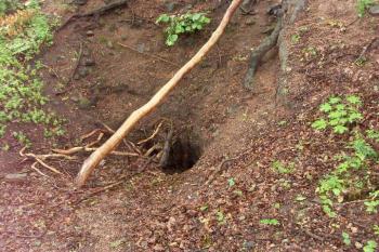 Údajný vchod do sklepení (© Milan Caha, 07/2007)