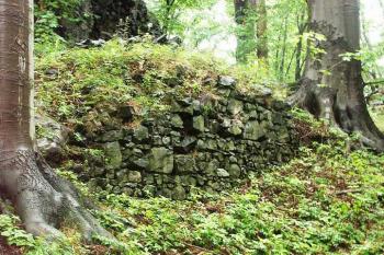 Obvodová hradba předhradí (© Milan Caha, 07/2007)