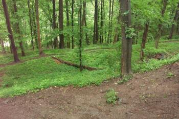 Příkop a val na jižní straně předhradí (© Milan Caha, 07/2007)