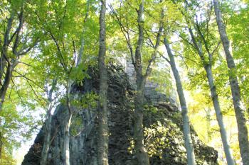 Bradlec - pohled na čedičové bradlo s torzem Jenštejnského paláce (© Pavel Jarý, 05.10.2008)