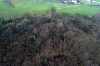 Bradlec letecky (© Puffin Puffin 10/04/2004)