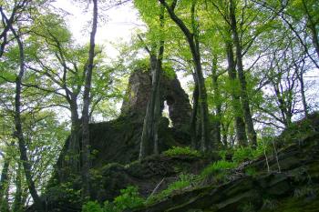 Gotický hrad Bradlec (© Miroslav Novotný, 04/2009)